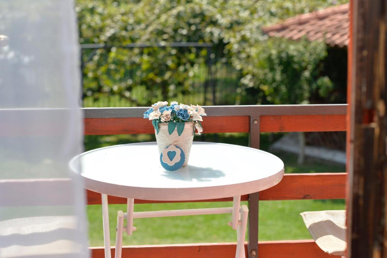 Vila Andrea Danilovgrad Extérieur photo
